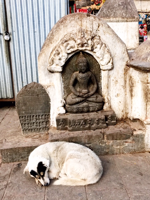 BUDDHA-GUARDING DOG